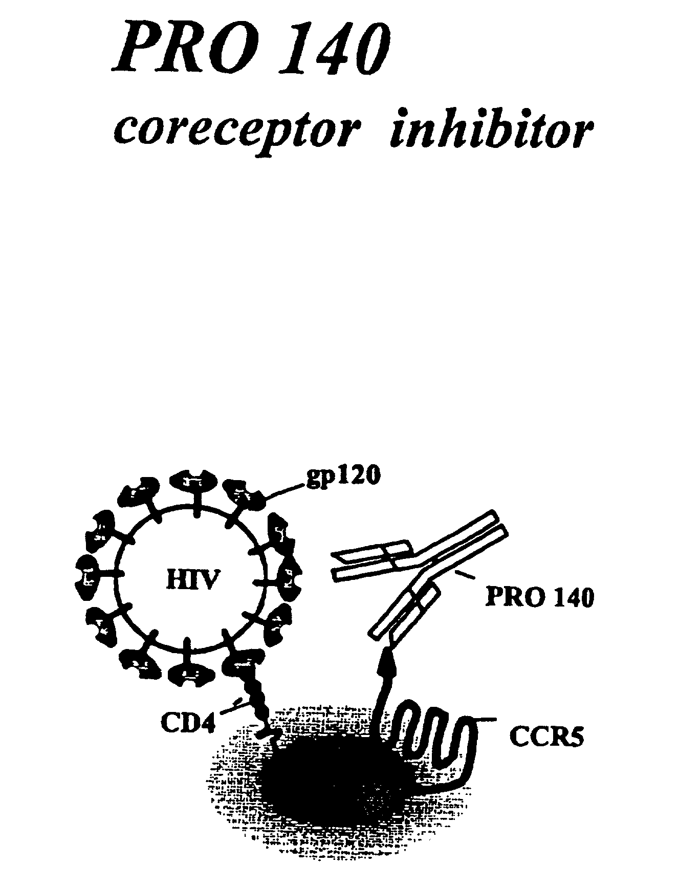 Compositions and methods for inhibition of HIV-1 infection