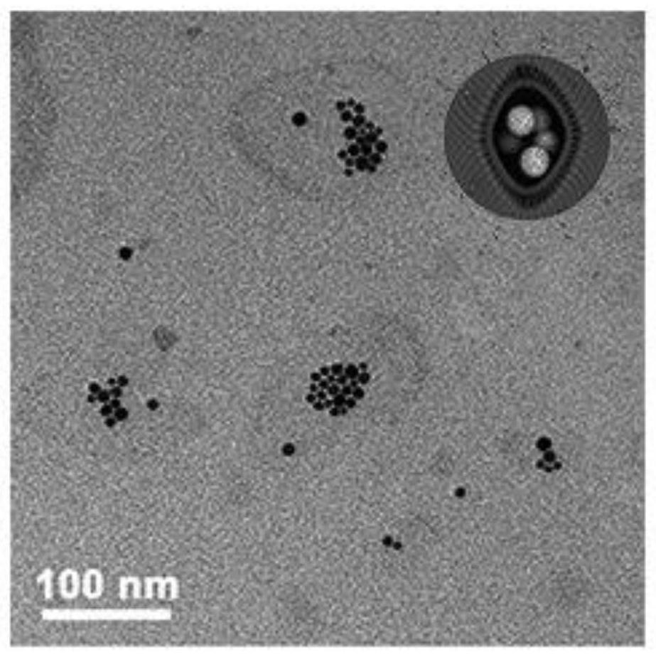 Near-infrared light-responsive nanoliposomes and their preparation methods and applications in tumor synergistic therapy