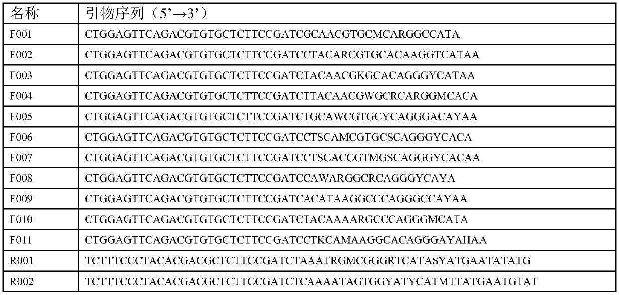 Multiplex PCR primer group, kit and method for detecting HPV based on high-throughput sequencing