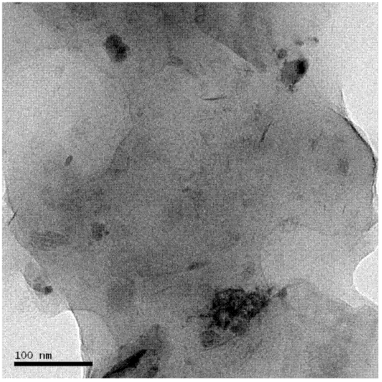 Preparation method of montmorillonoid/polylactic acid nano composite material