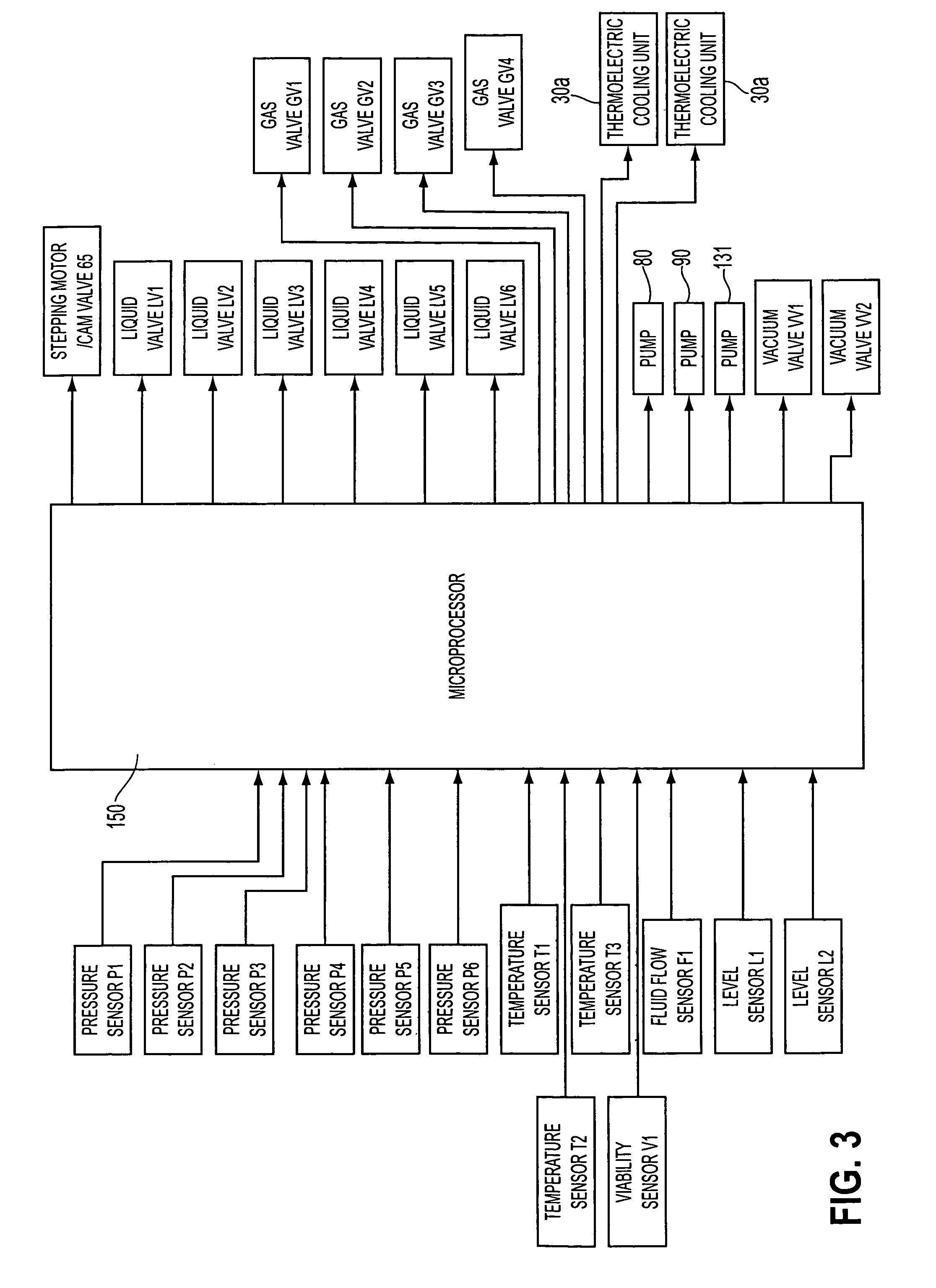 Apparatus and method for perfusion and determining the viability of an organ