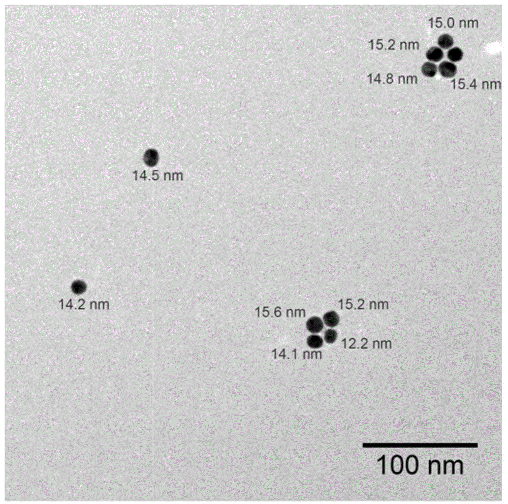 A gold nano-drug carrier with dual effects of overcoming and avoiding p-glycoprotein-mediated tumor multidrug resistance