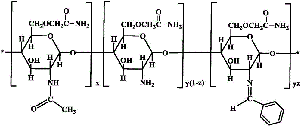 O-acetamide chitosan Schiff-base and preparation method thereof