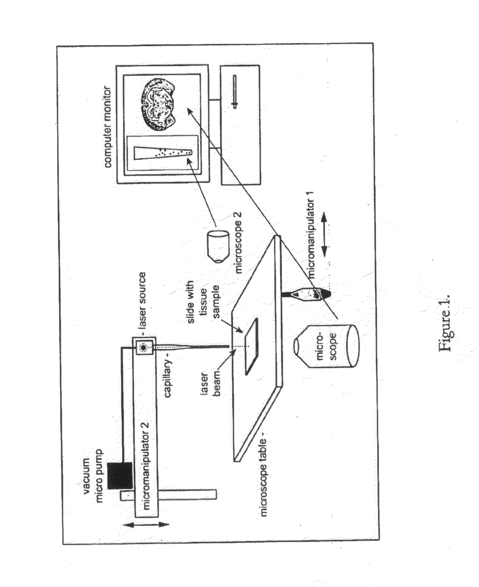 Capillary-based cell and tissue acquisition system (CTAS)