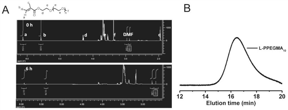 PEG core cross-linked star-shaped polymer nano-contrast agent and its preparation method and application