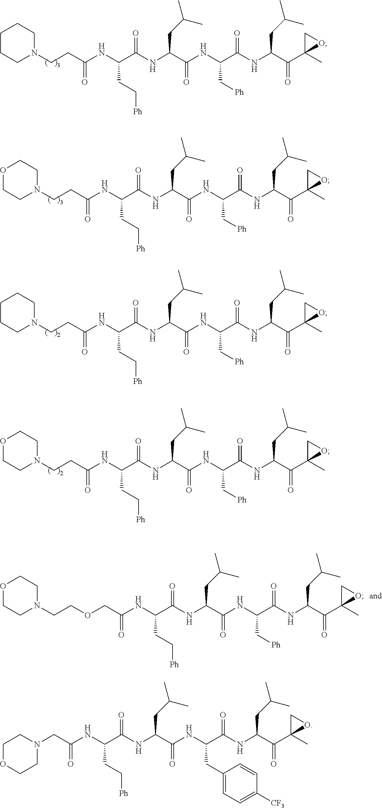 Compounds for proteasome enzyme inhibition