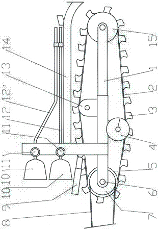 A chain type multifunctional working machine of Cistanche Cistanche