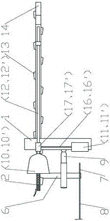 A chain type multifunctional working machine of Cistanche Cistanche