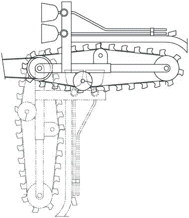 A chain type multifunctional working machine of Cistanche Cistanche