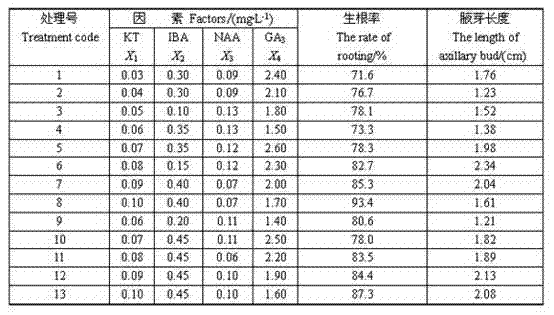 Method for efficiently forming seedlings in vitro by utilizing stem segments of rhododendron plants in Changbai Mountains