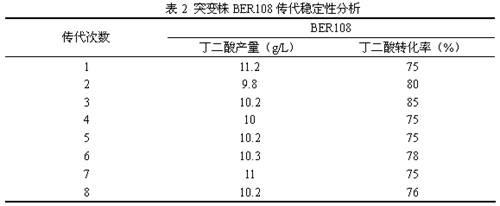 Colibacillus capable of generating succinic acid by utilizing synthetic medium pure anaerobic growth and application thereof