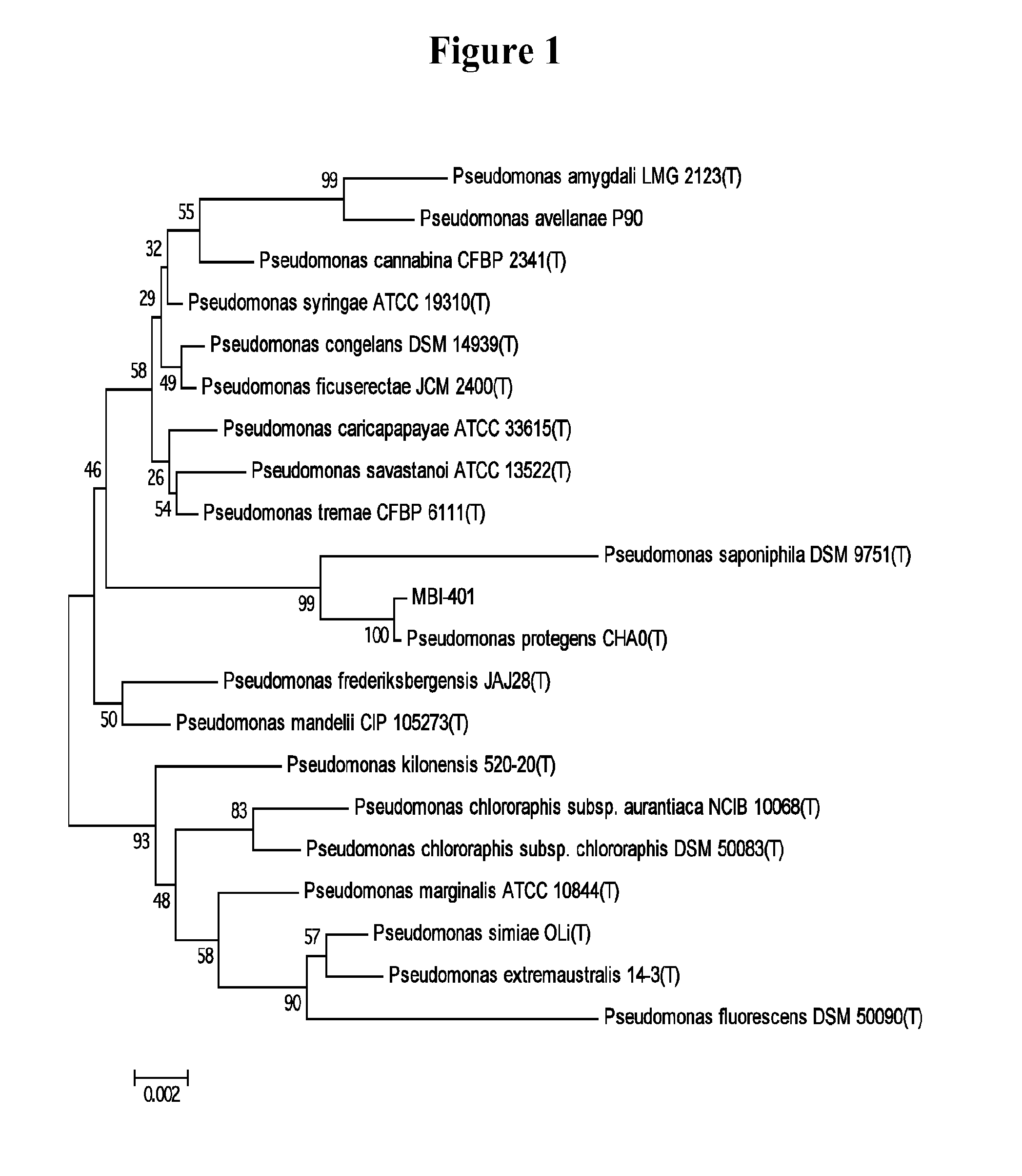 Control of phytopathogenic microorganisms with pseudomonas sp. and substances and compositions derived therefrom