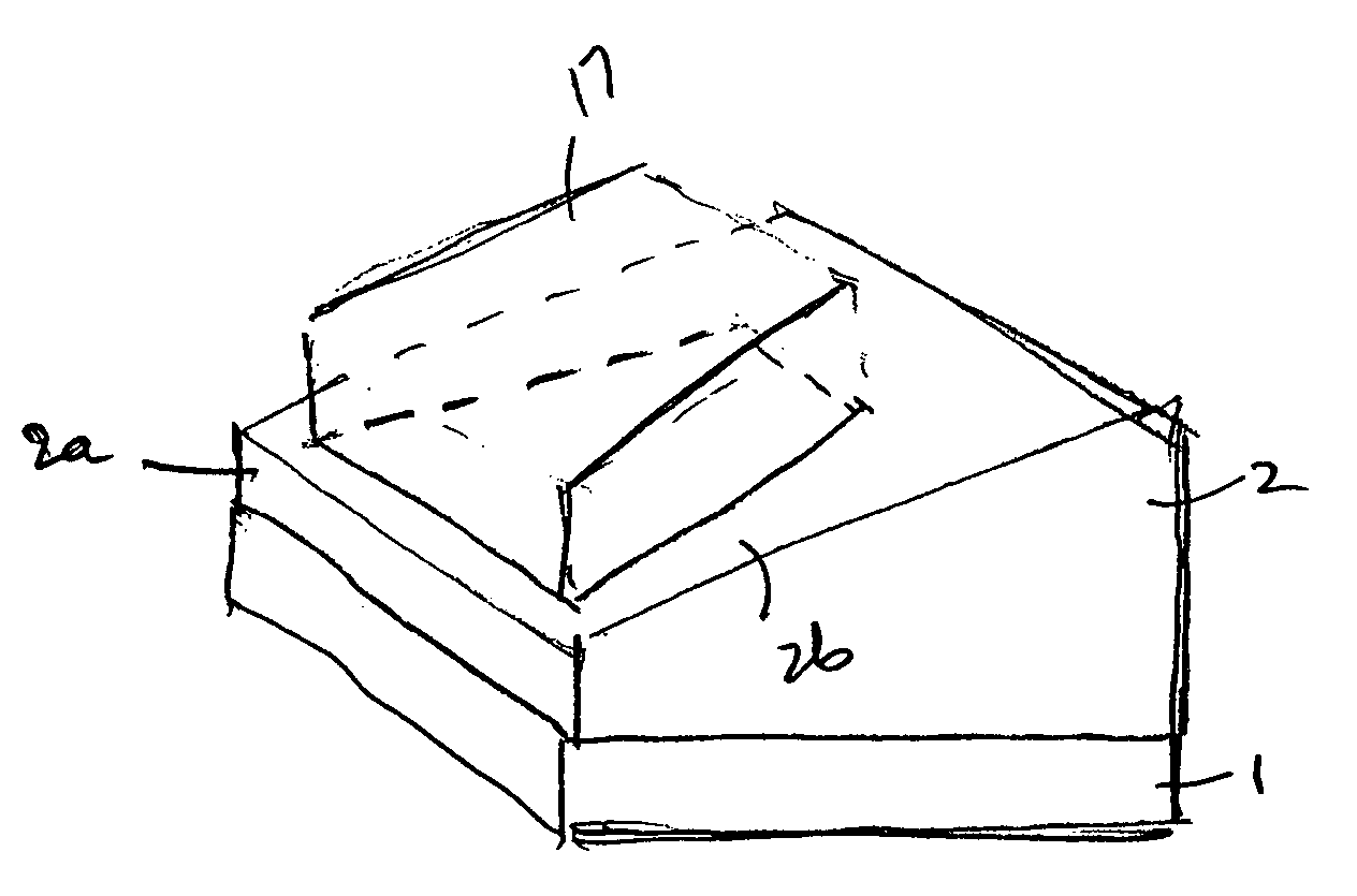 Apparatus and method for manufacturing tilted microlenses