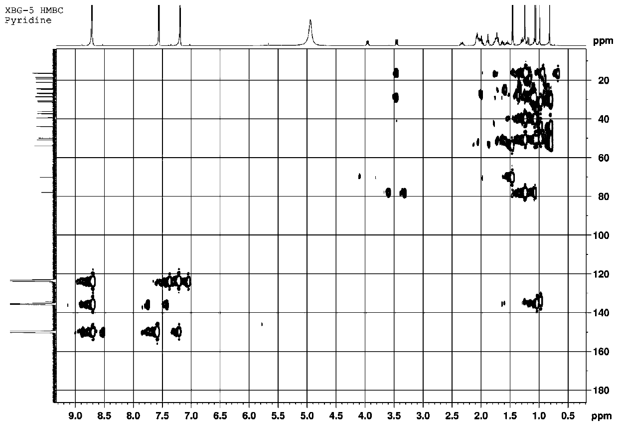 Method for extracting novel triterpenoid Gvterpennoid A from Gendarussa vulgaris and application of Gvterpennoid A