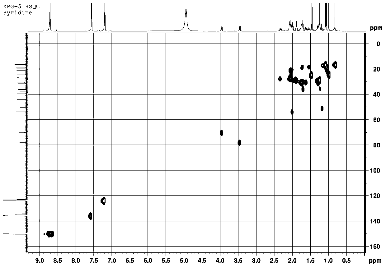 Method for extracting novel triterpenoid Gvterpennoid A from Gendarussa vulgaris and application of Gvterpennoid A