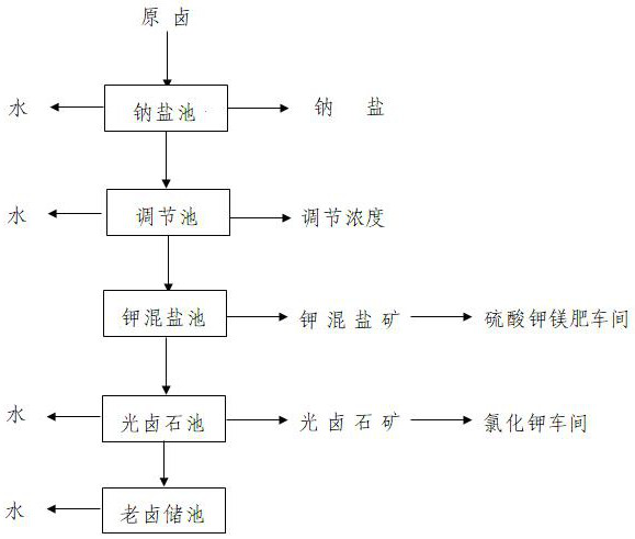 A kind of magnesium sulfate subtype salt lake brine salt field natural evaporation staged mineralization technology