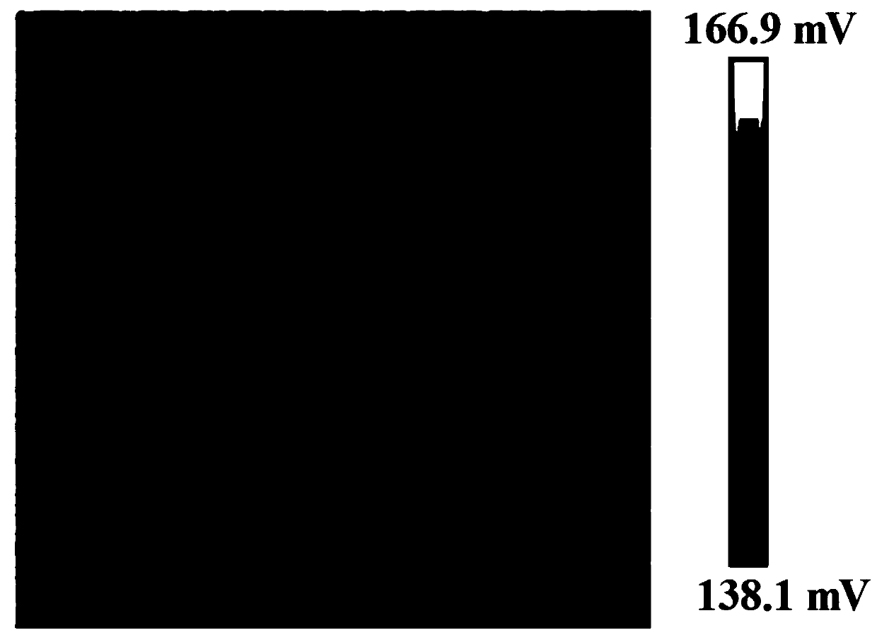 Carbon-based perovskite solar cell based on multifunctional interface modification layer