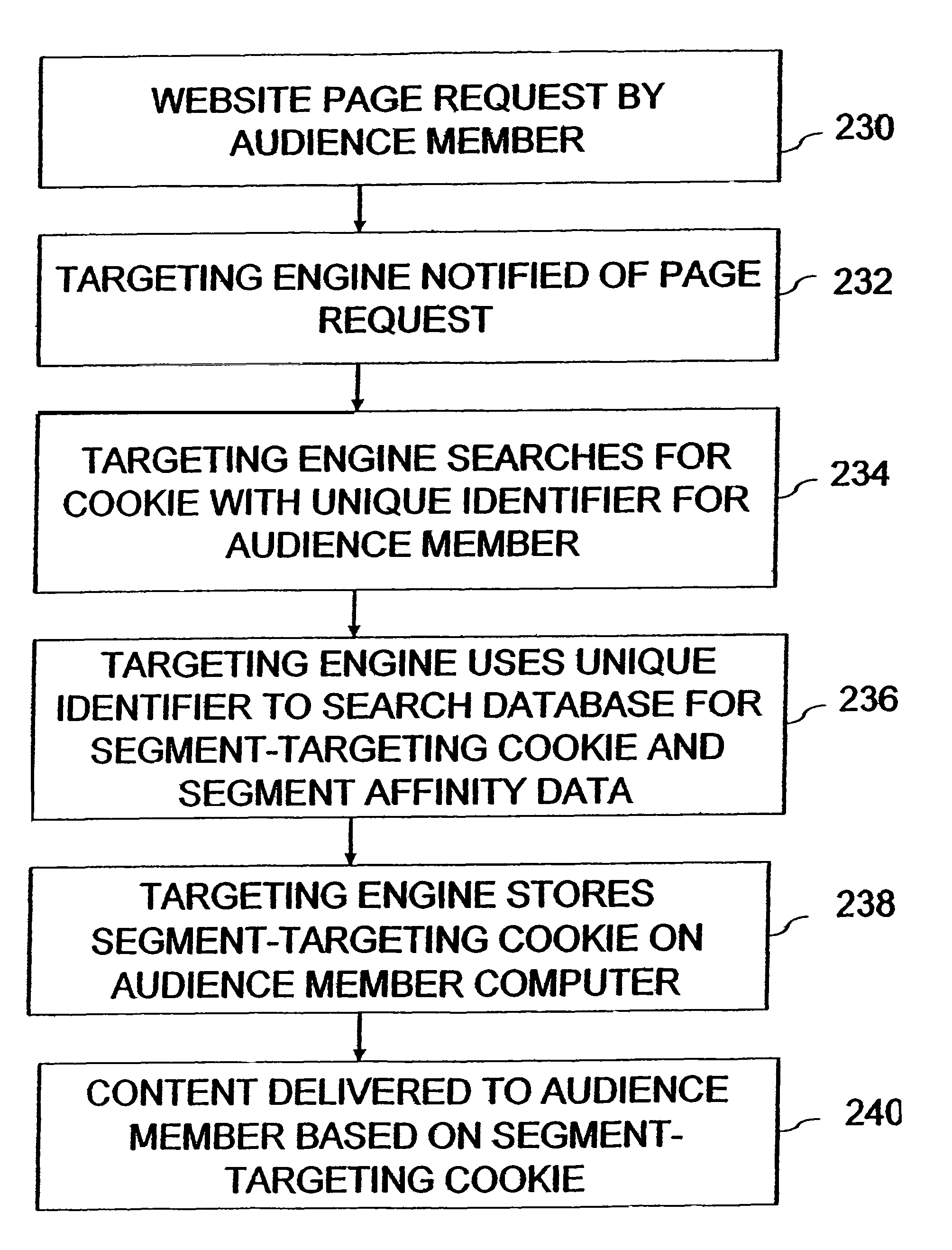 Audience targeting system with segment management