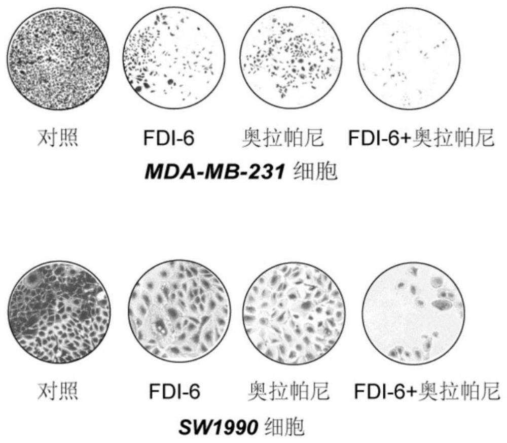 Combination medicine for treating cancer