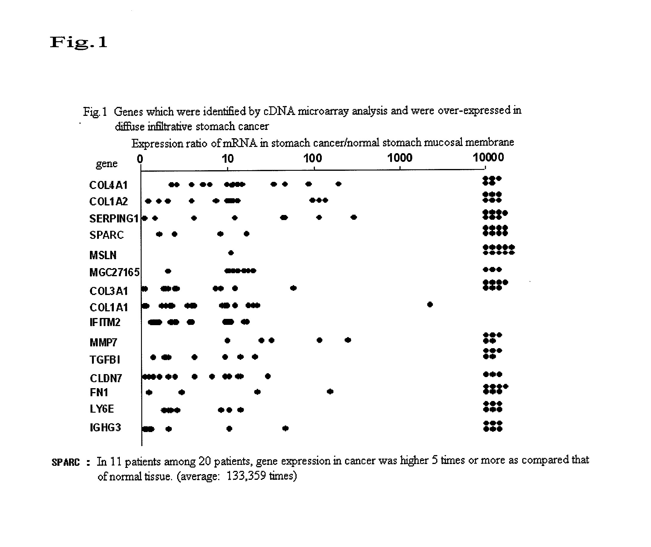 Sparc-derived tumor rejection antigenic peptides and medicaments comprising the same