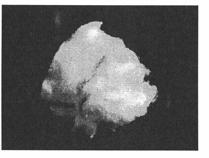 Formed carbon dioxide absorbing material and preparation method thereof