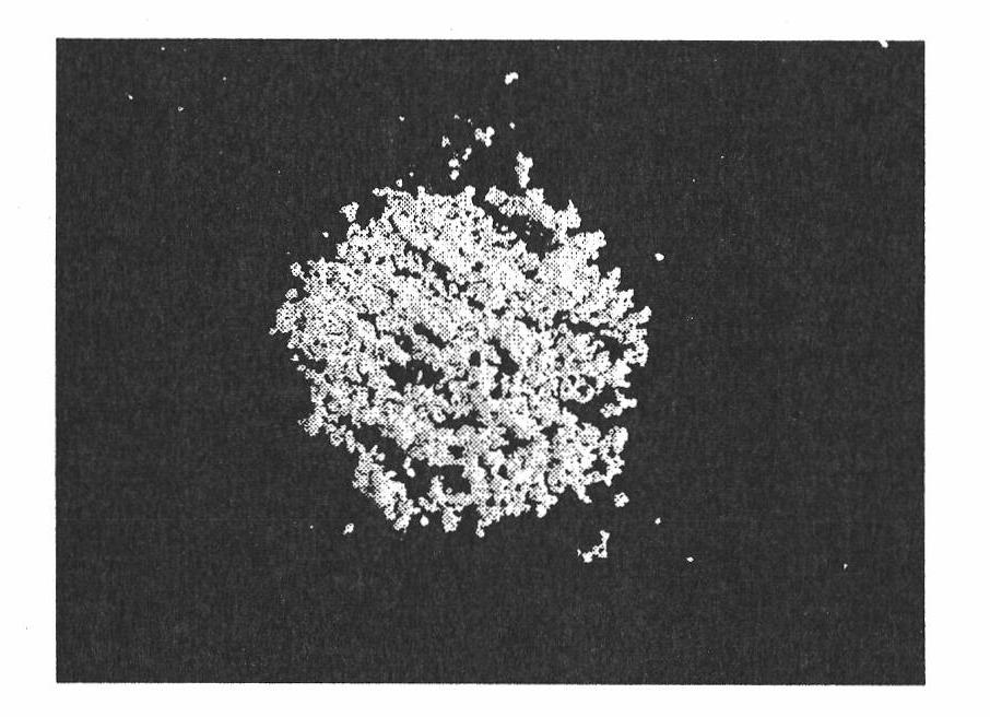 Formed carbon dioxide absorbing material and preparation method thereof