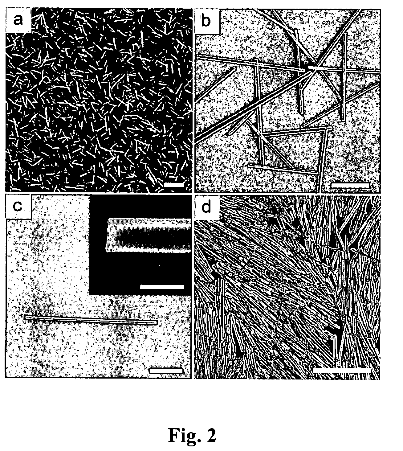 Process for preparing microrods using liquid-liquid dispersion