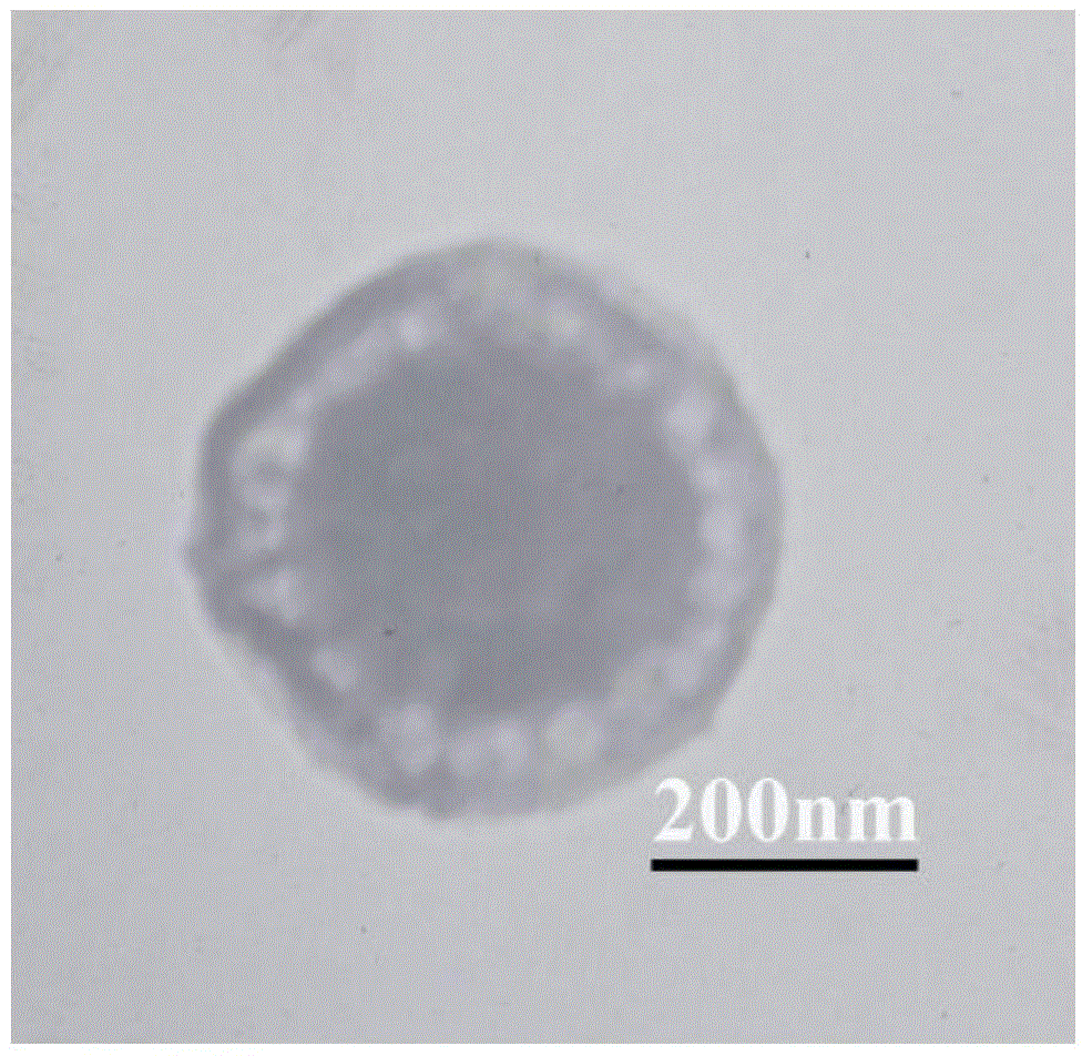 Method for preparing magnetic particle with level hole structure