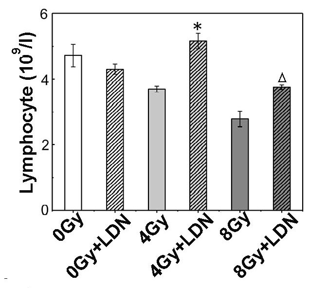 Application of hepcidin antagonist ldn193189 and its derivatives in the preparation of medicine