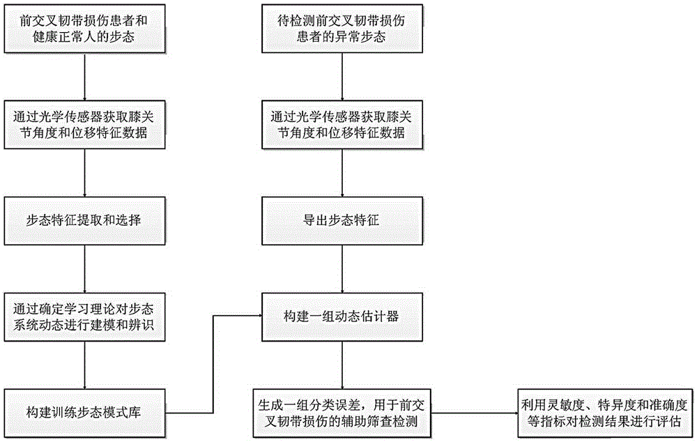 Gait analysis method for auxiliary screening of injury of anterior cruciate ligament