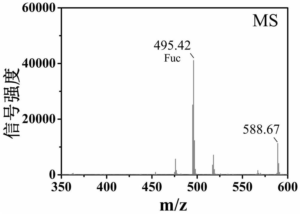 Application of sulphated sea cucumber polysaccharide and weak acid degradation product thereof in promotion of lactobacillus proliferation