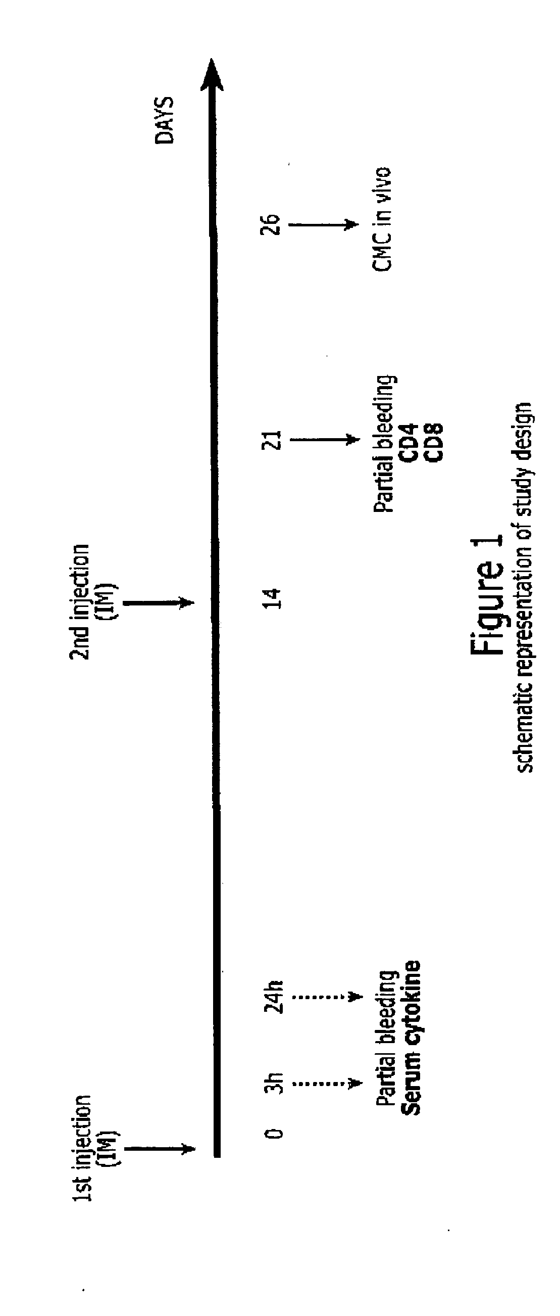 Lipidated Imidazoquinoline Derivatives