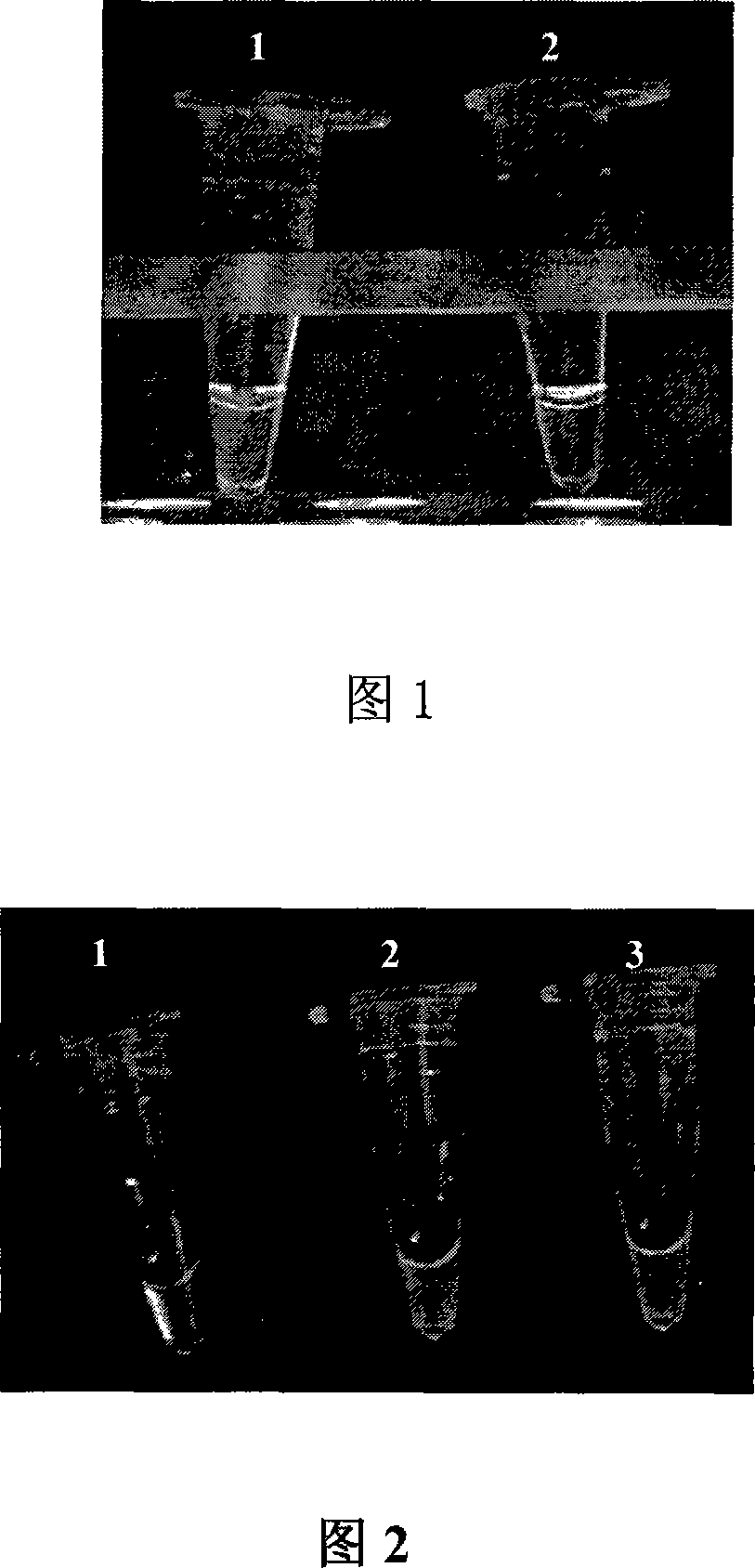 Primer, detection method and detection reagent kit for detecting staphylococcus aureus