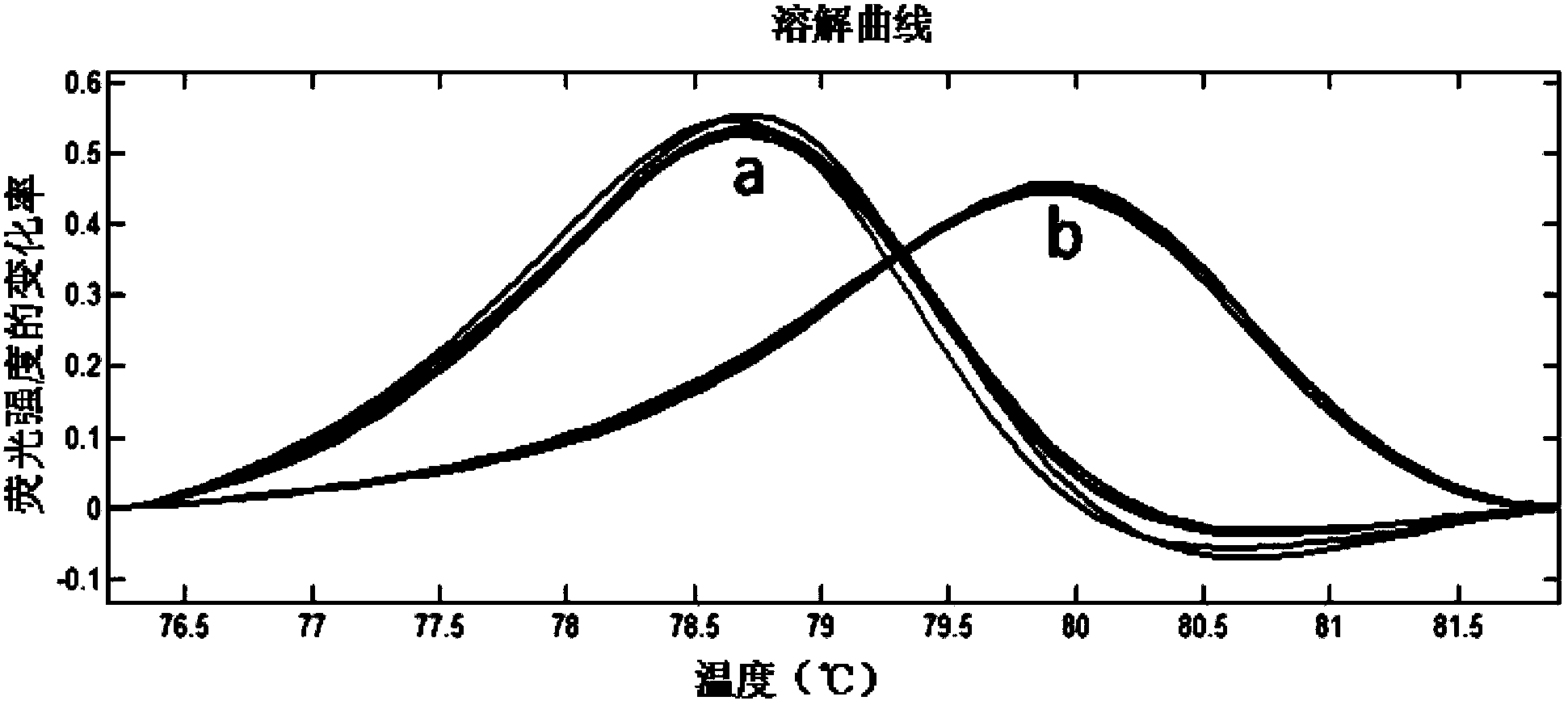 Method for discriminating two closely-related species of shellfish or identifying their hybrid generation