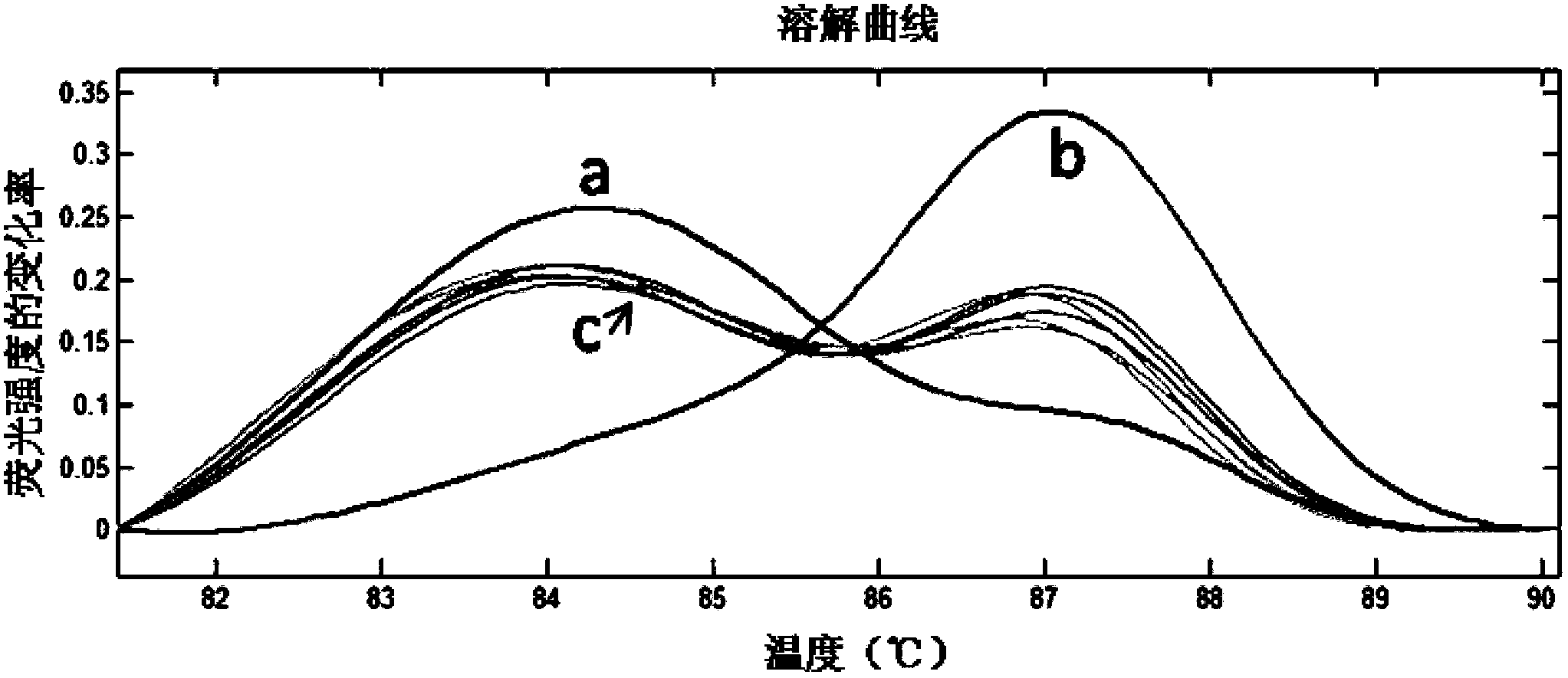 Method for discriminating two closely-related species of shellfish or identifying their hybrid generation