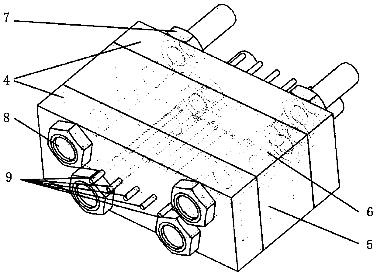 Living body nerve scaffold with central perfusion system and manufacturing method thereof