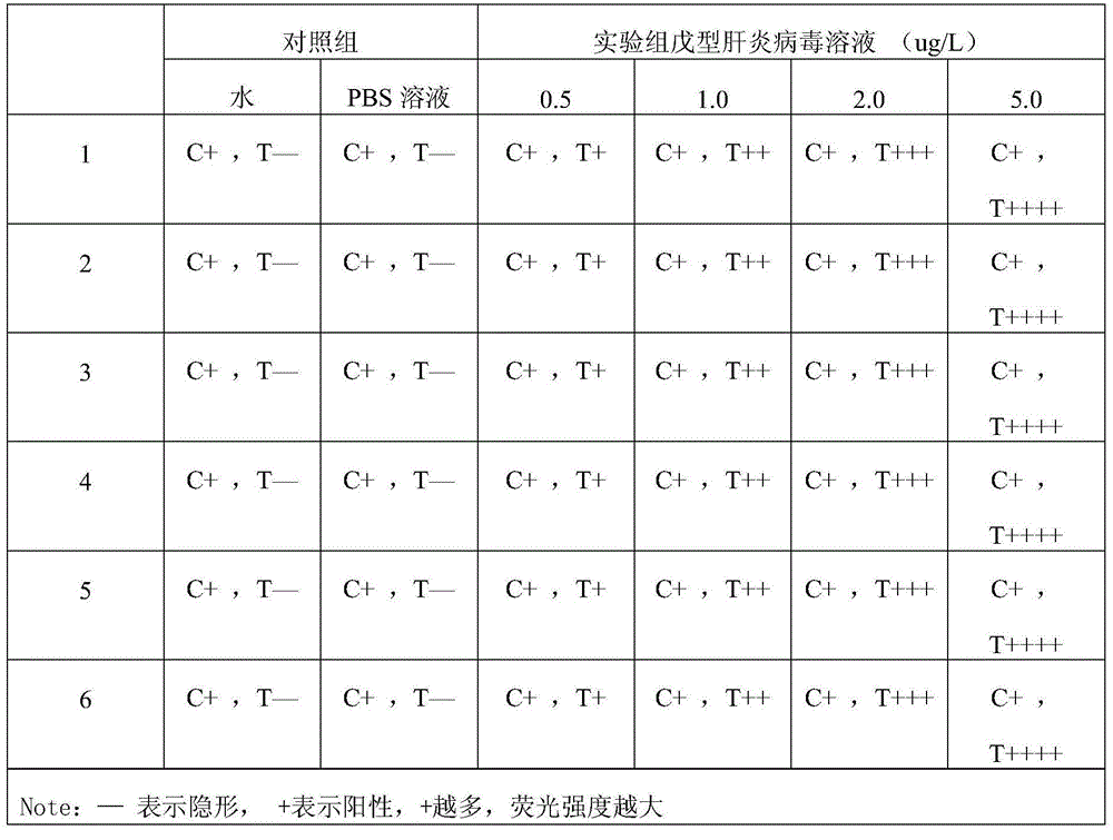 Method for preparing quantum-dot labeled immunochromatography test paper