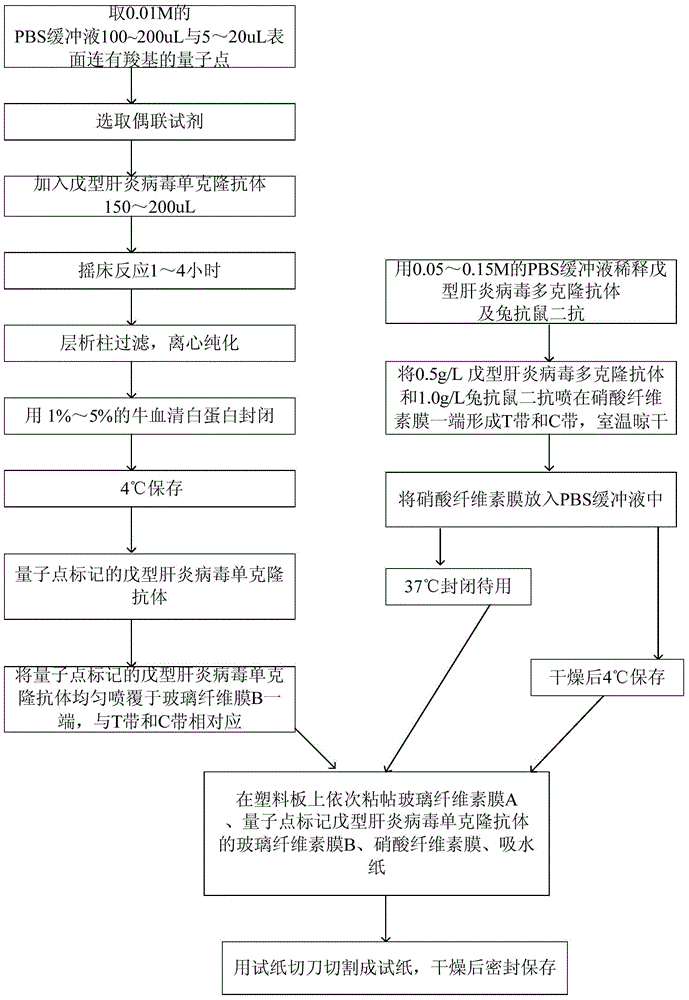 Method for preparing quantum-dot labeled immunochromatography test paper