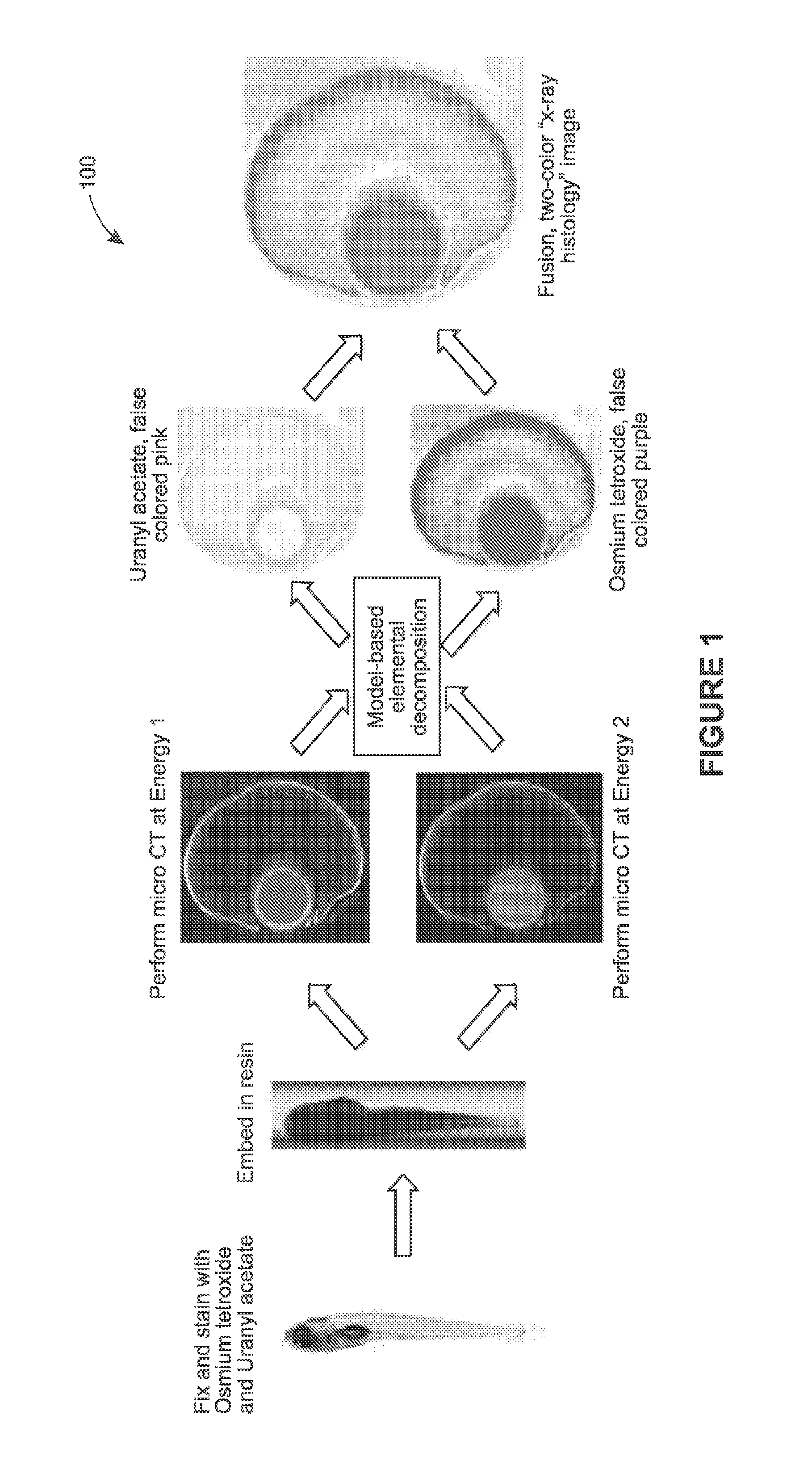 Color x-ray histology for multi-stained biologic sample