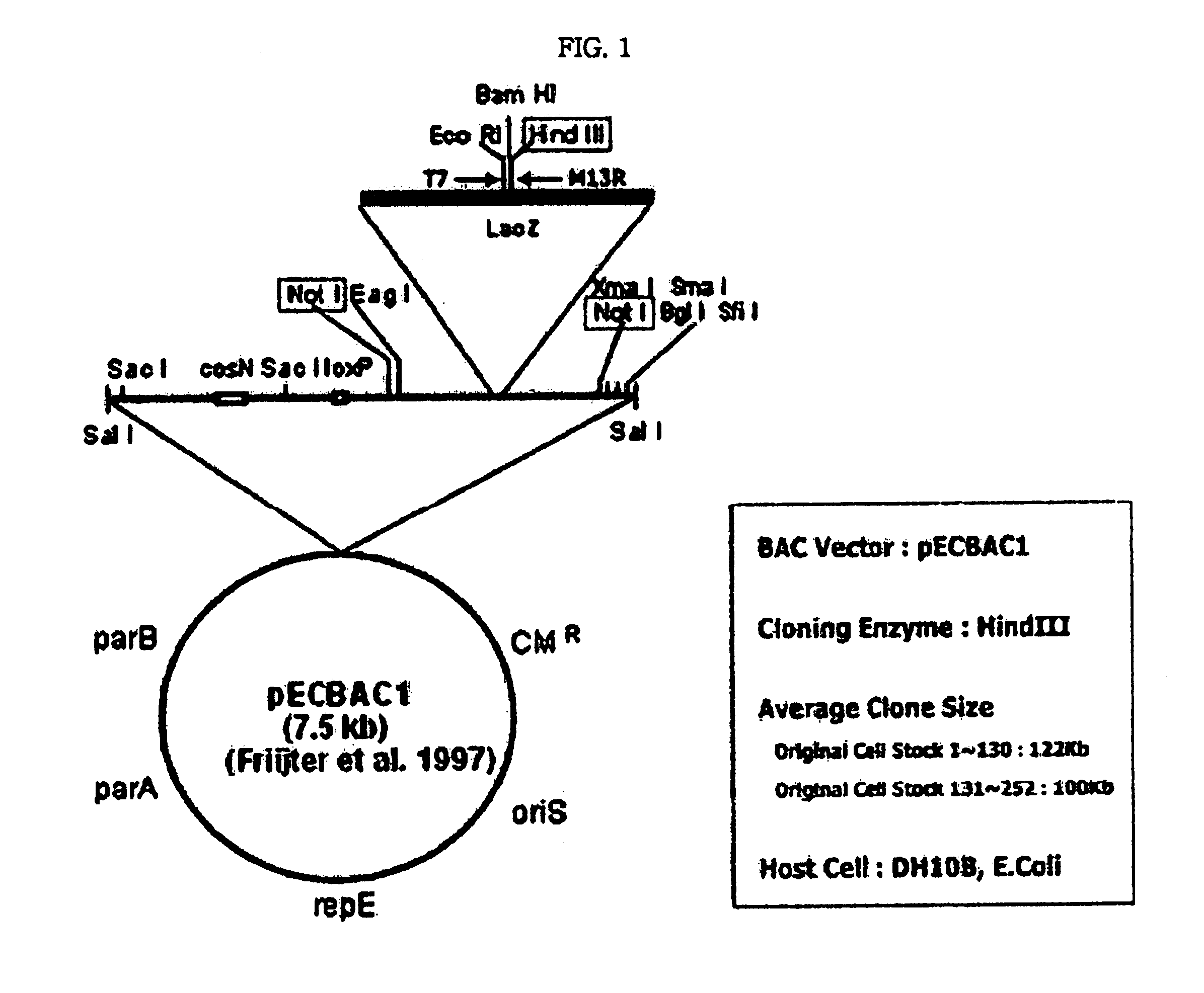 Detection method for chromosome abnormality and microarray chip