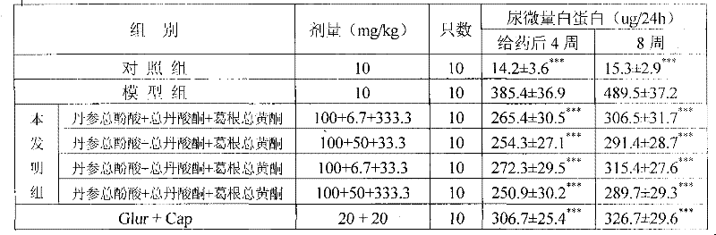 Medicinal composition for preventing and treating diabetic complications and preparation method thereof