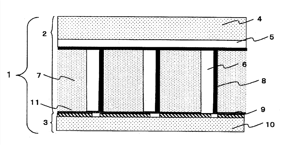 Protein production accelerator