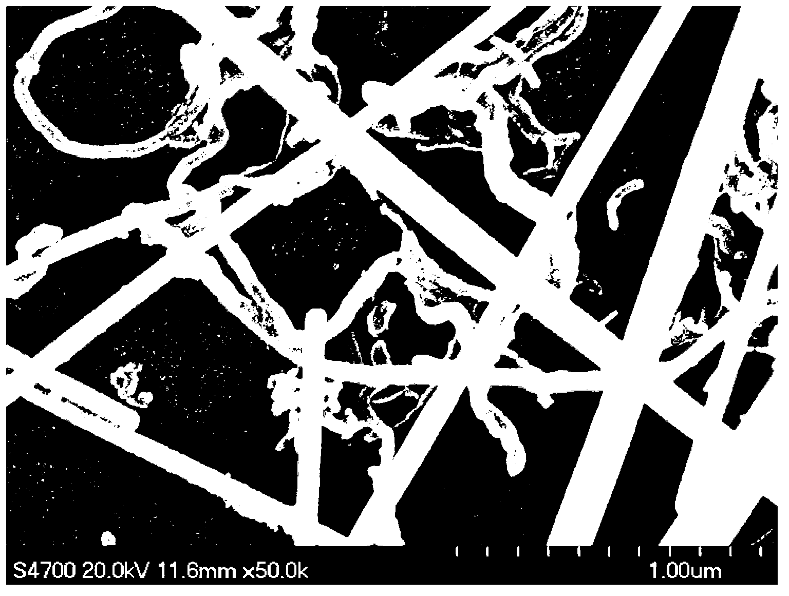 Antistatic agent made from silver nanowire and functional carbon nano tube (CNT) and preparation method