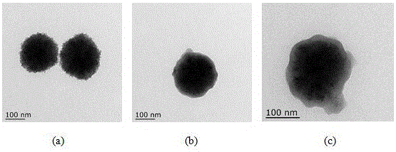 Phenylboronic acid modified magnetic nanoparticle, and preparation method and application thereof