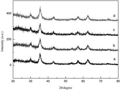 Phenylboronic acid modified magnetic nanoparticle, and preparation method and application thereof