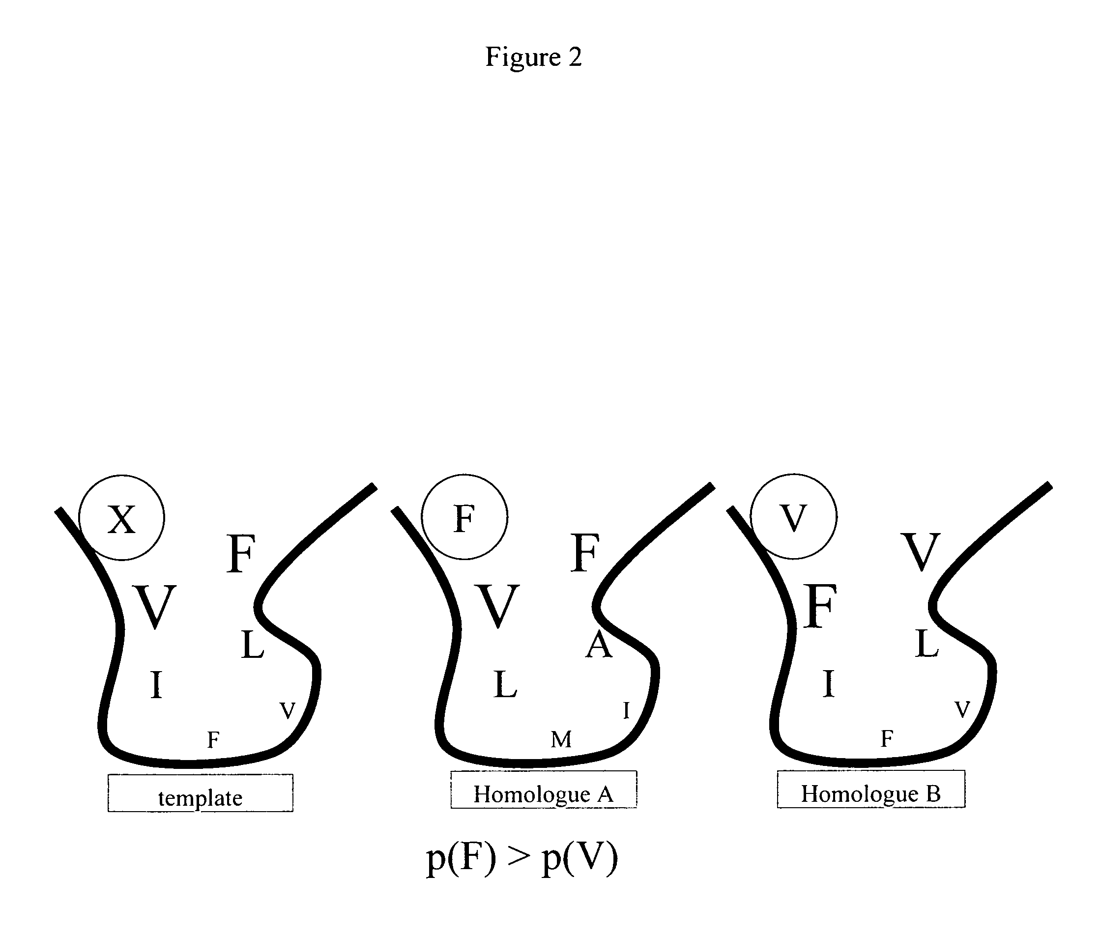 Protein engineering with analogous contact environments