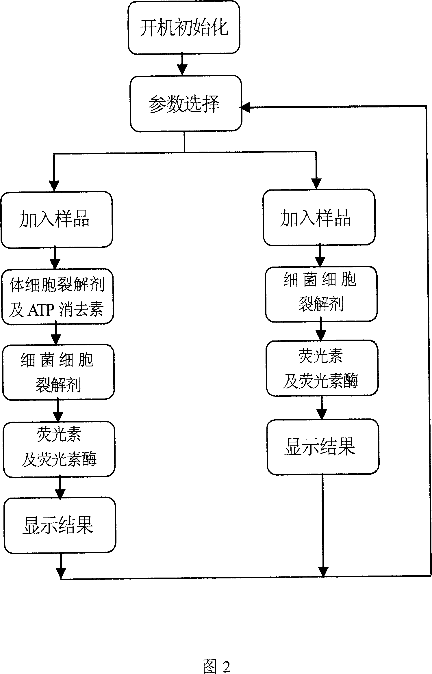 Sanitary status on-site rapid detection device and detecting method