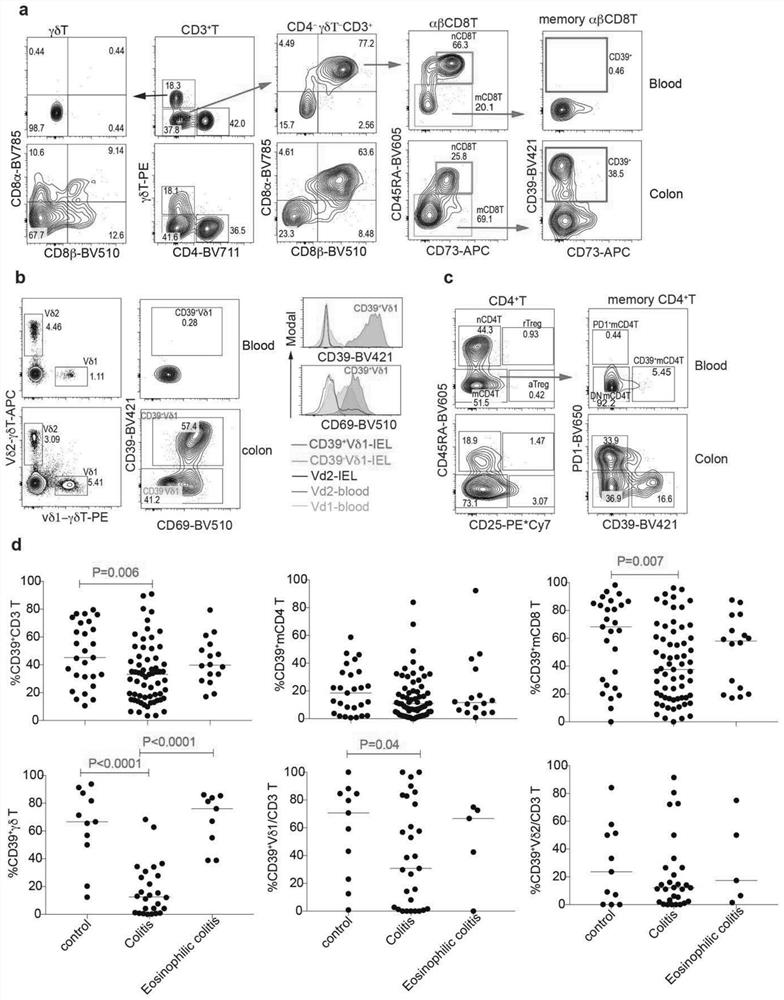 Immune Mechanism and Therapeutic Drugs of Gastrointestinal Diseases