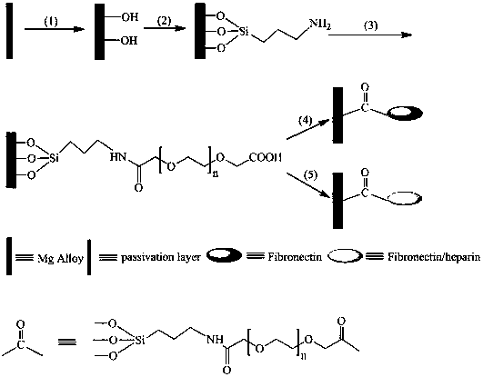 A kind of surface modification method of medical magnesium alloy