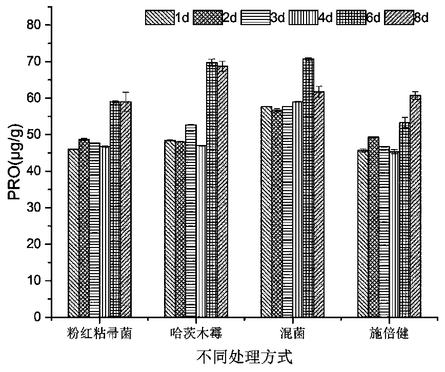 Compound biocontrol microbial agent as well as preparation method and application thereof